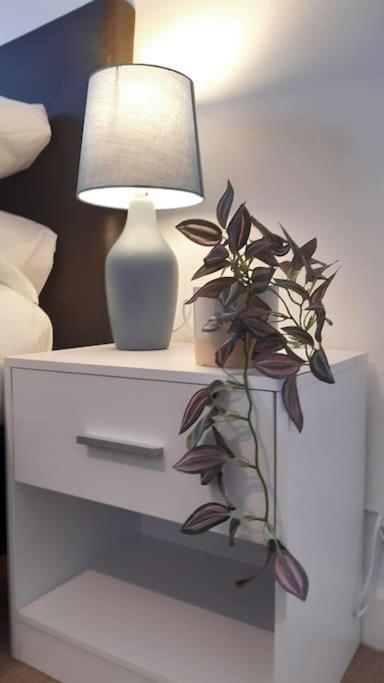 Free Parking Spacious Home 카디프 외부 사진