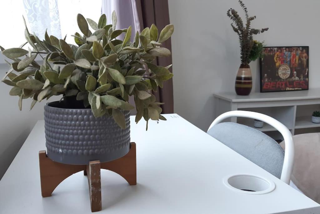 Free Parking Spacious Home 카디프 외부 사진